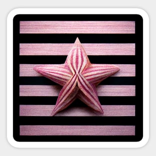 Pink and Black striped background with pretty pink striped starfish. Sticker